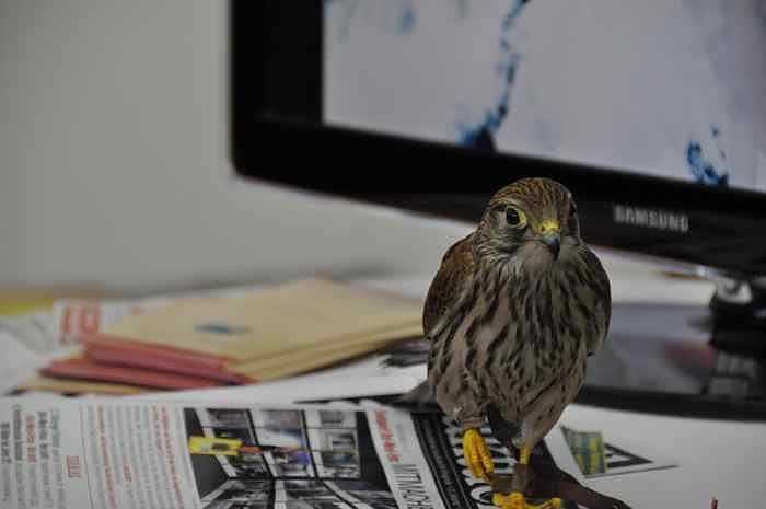 2.Th&uuml;ringer Fototage in Erfurt