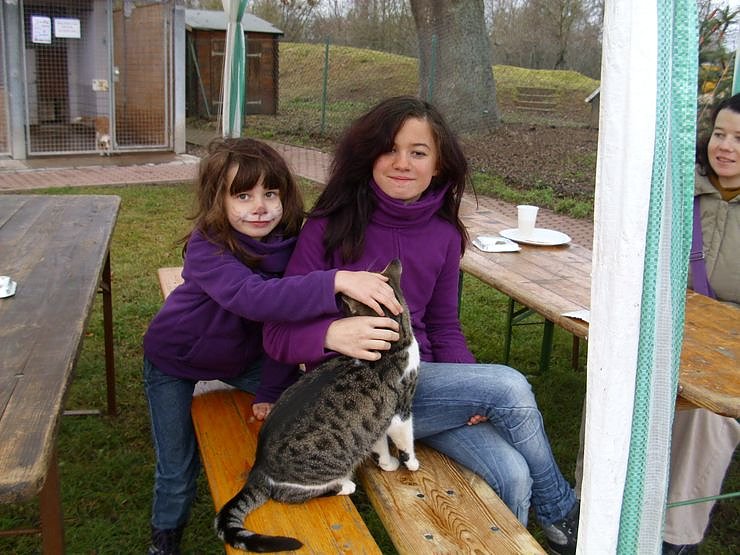 Weihnachten im Tierheim