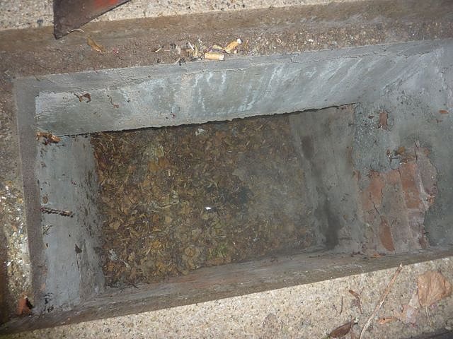 Glutnest in Laub und Unrat