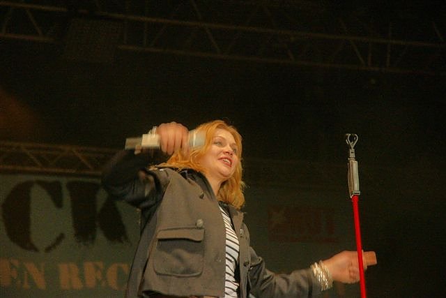 Rock'n Roll f&uuml;r eine bunte Republik