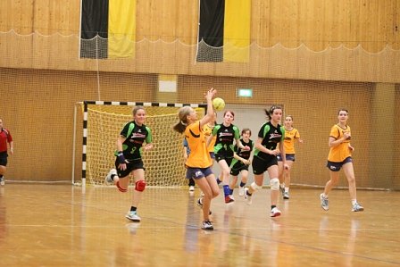 nnz-Ergebnisdienst: Handball