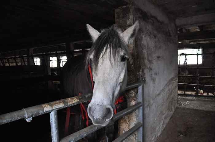 Weihachtsgrillen bei Bauer Maik