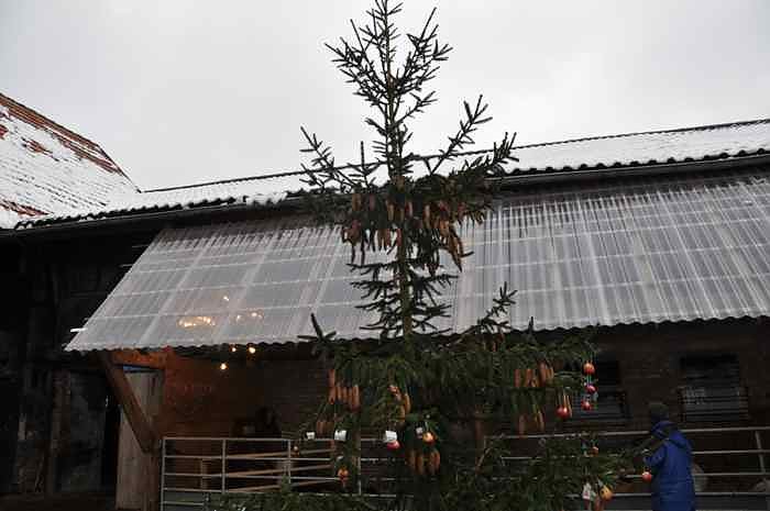 Weihachtsgrillen bei Bauer Maik