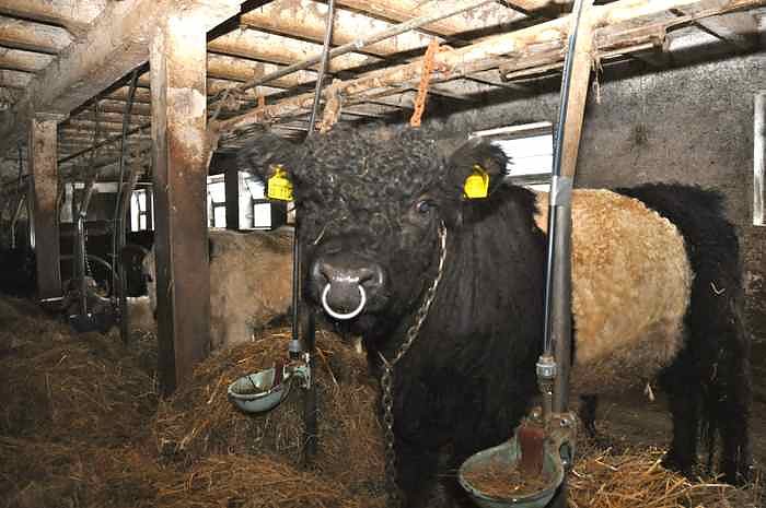 Weihachtsgrillen bei Bauer Maik