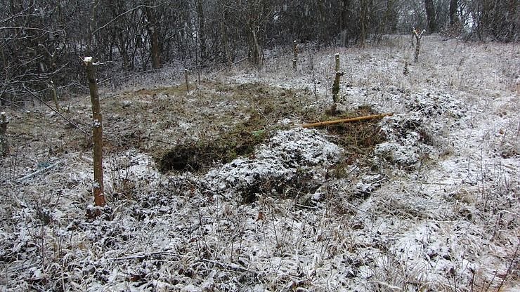 Im Einsatz f&uuml;r die Natur