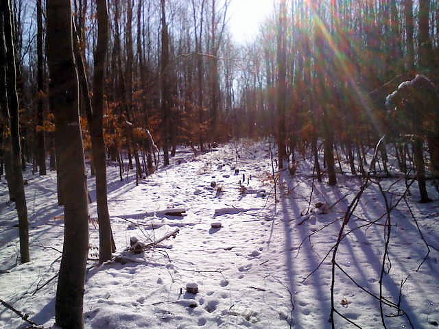 So sch&ouml;n kann Winter sein