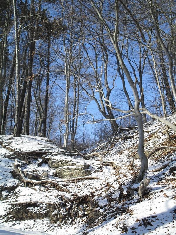 So sch&ouml;n kann Winter sein