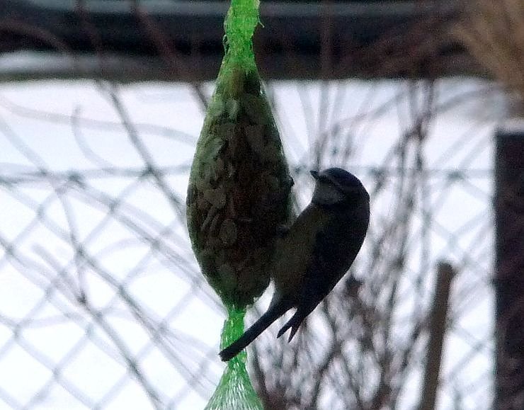 Unterwegs in Nordhausen