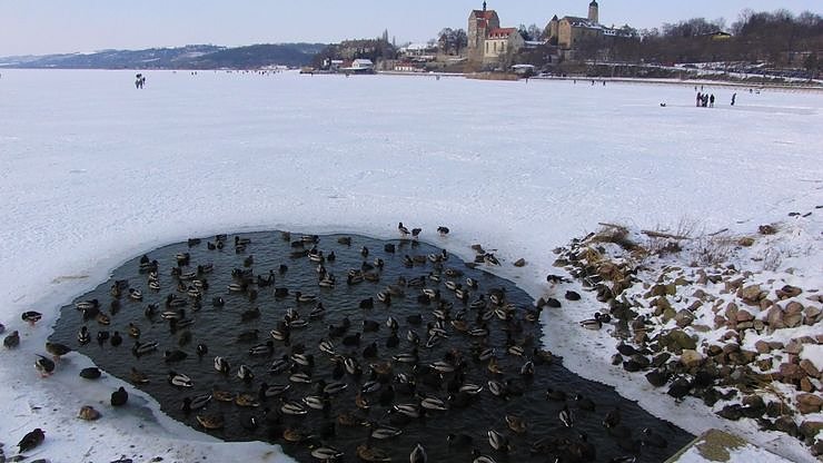 100 Kilometer unterwegs