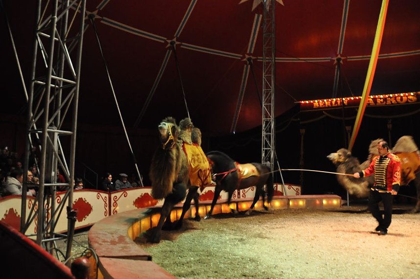 Zirkus Aeros in Nordhausen