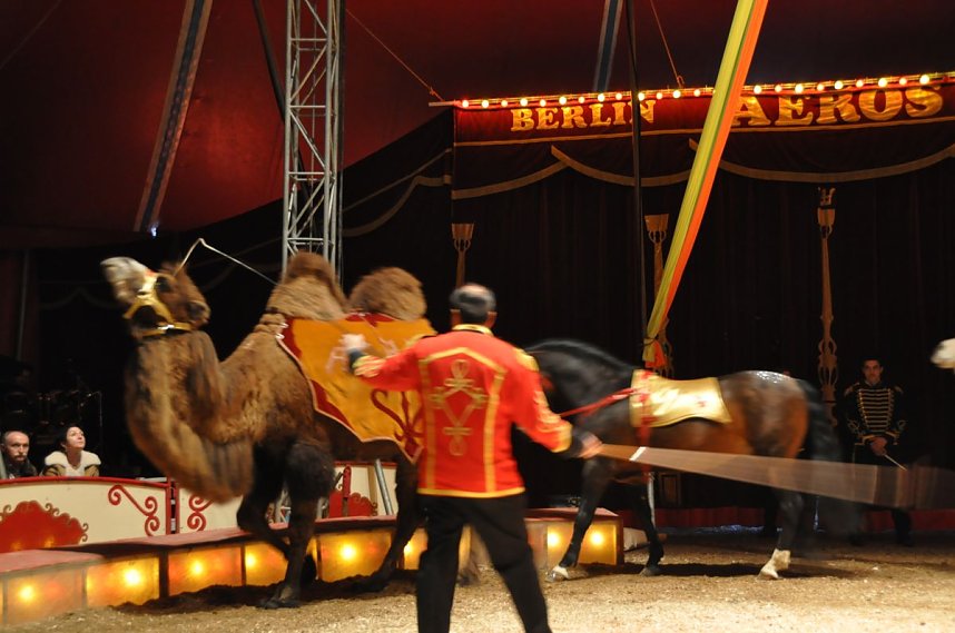 Zirkus Aeros in Nordhausen