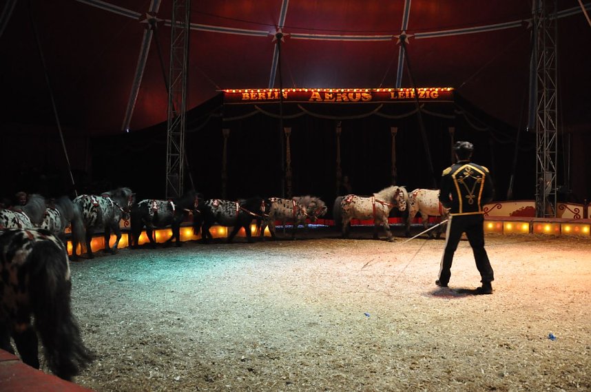 Zirkus Aeros in Nordhausen