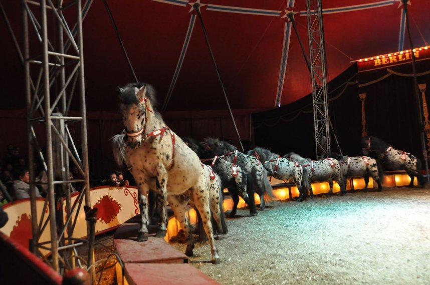 Zirkus Aeros in Nordhausen