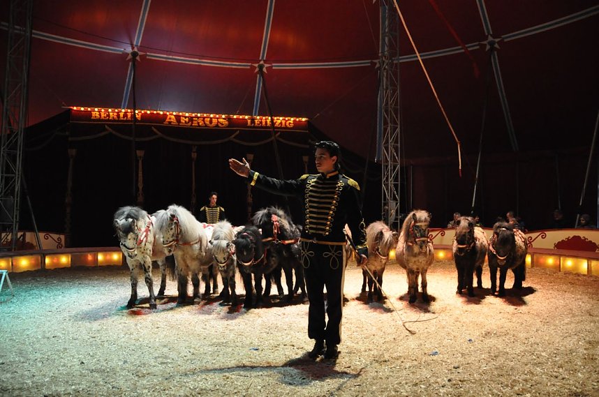 Zirkus Aeros in Nordhausen