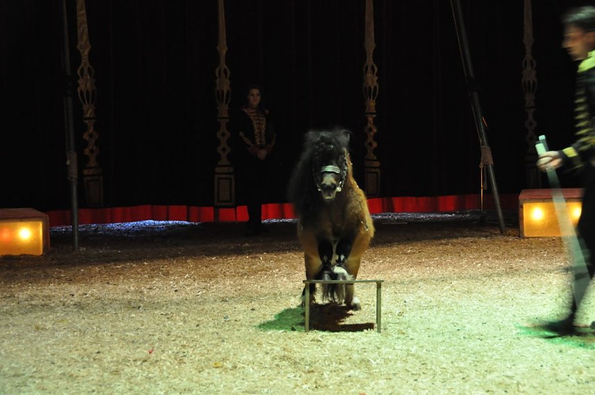 Zirkus Aeros in Nordhausen