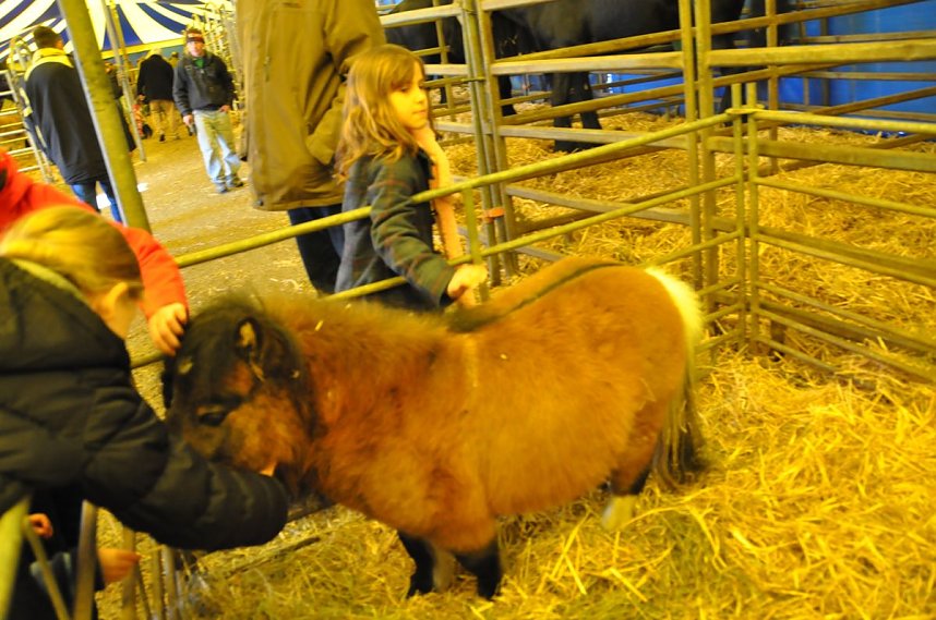 Zirkus Aeros in Nordhausen