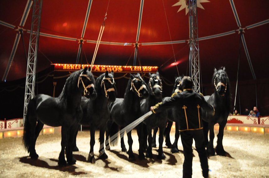 Zirkus Aeros in Nordhausen