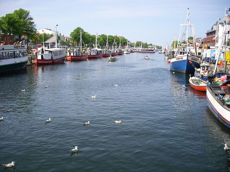Quartett auf "hoher See"