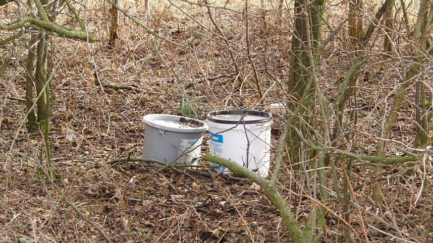 Schwarzbergs Wegwerfgesellschaft