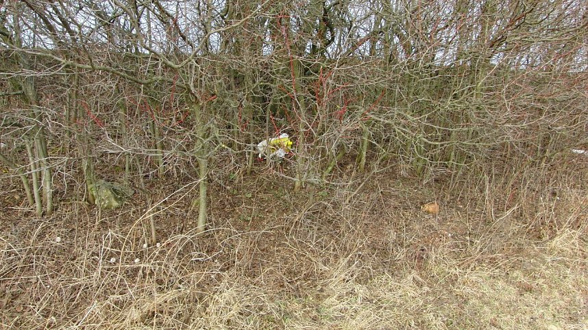 Schwarzbergs Wegwerfgesellschaft