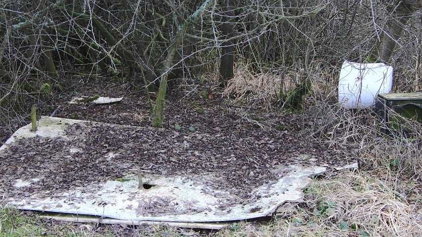 Schwarzbergs Wegwerfgesellschaft