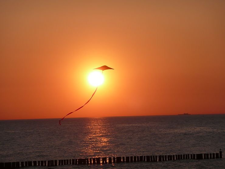 Quartett auf "hoher See"