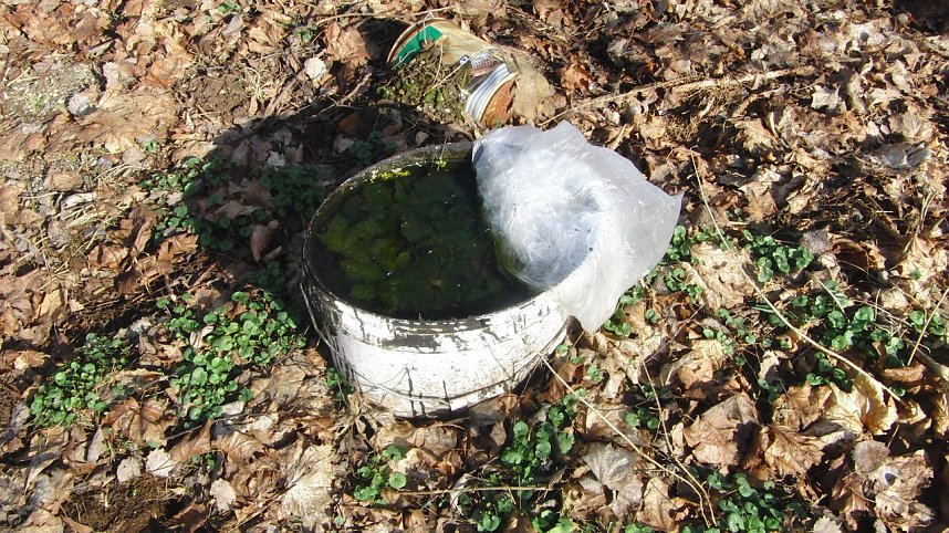 Schwarzbergs Wegwerfgesellschaft