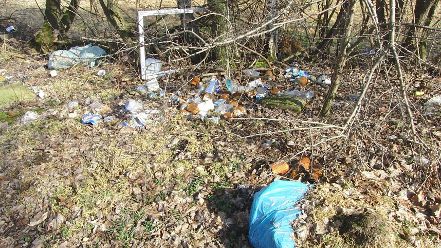 Schwarzbergs Wegwerfgesellschaft