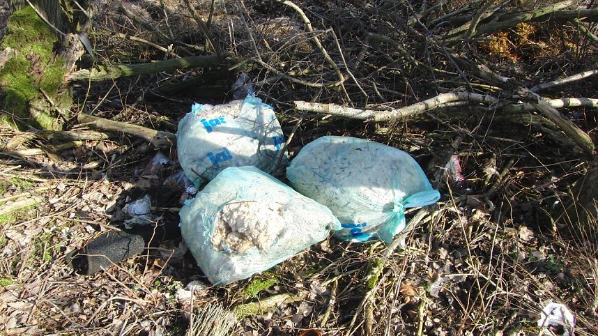 Schwarzbergs Wegwerfgesellschaft