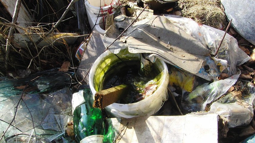 Schwarzbergs Wegwerfgesellschaft