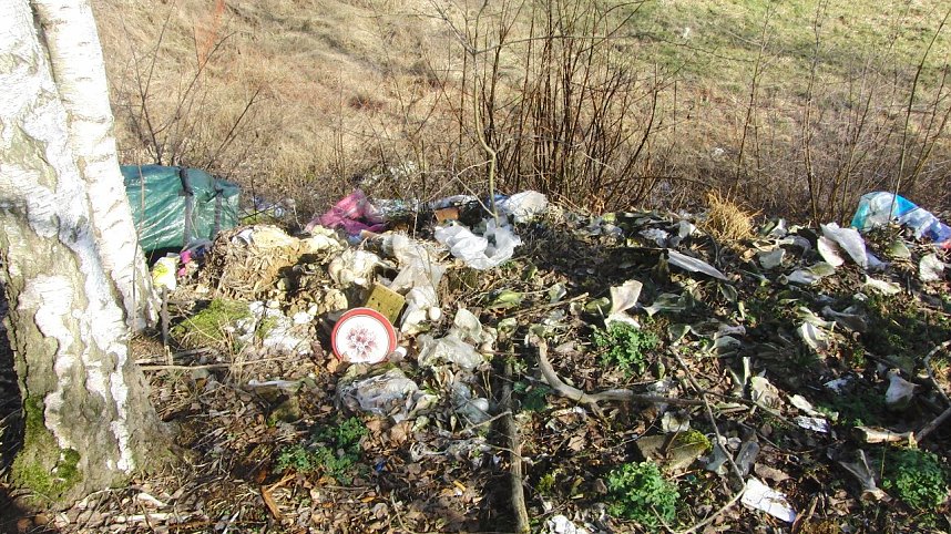 Schwarzbergs Wegwerfgesellschaft