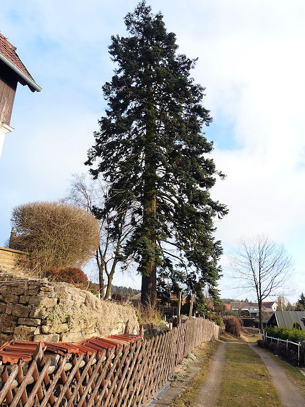Unterwegs im Harz: Friedrichsbrunn