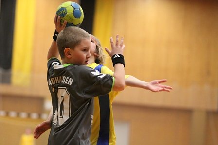 Handball am Wochenende