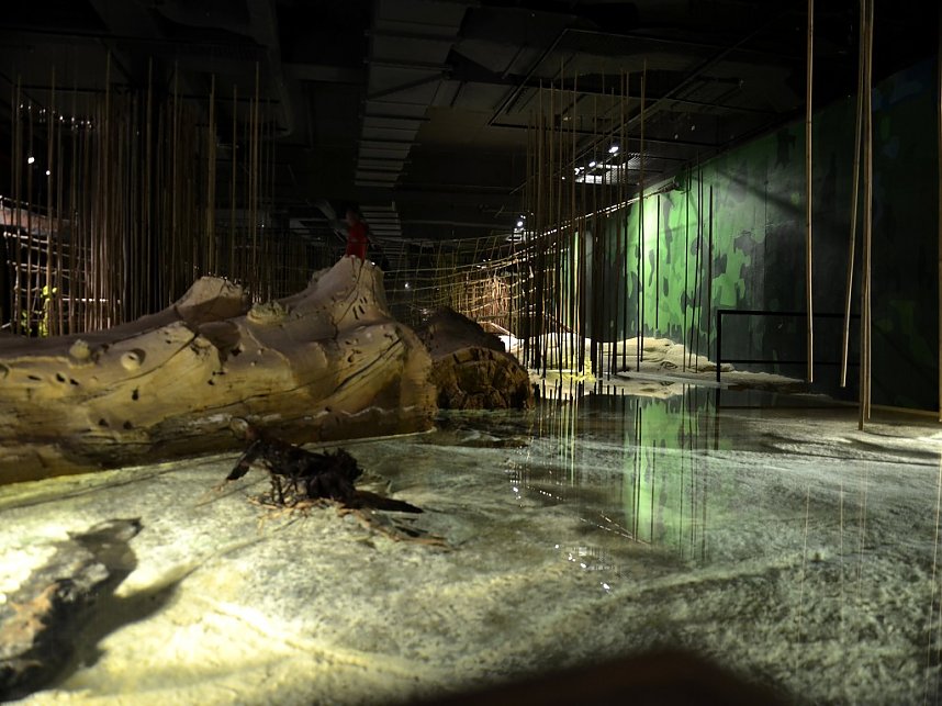 Ein Nordh&auml;user im Norden