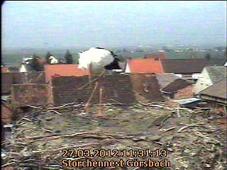 Neues aus dem Strochennest