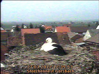 Neues aus dem Strochennest