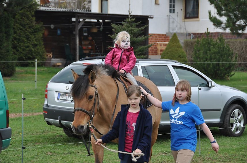 Hoffest & Reitturnier Wollersleben