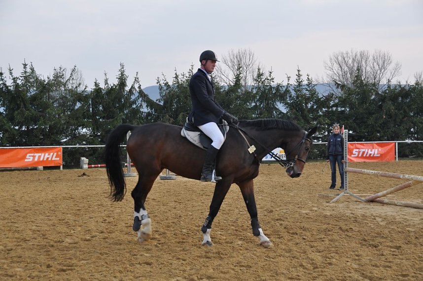 Hoffest & Reitturnier Wollersleben