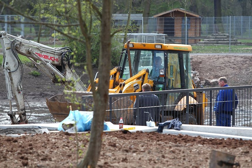Stadtpark nimmt Konturen an