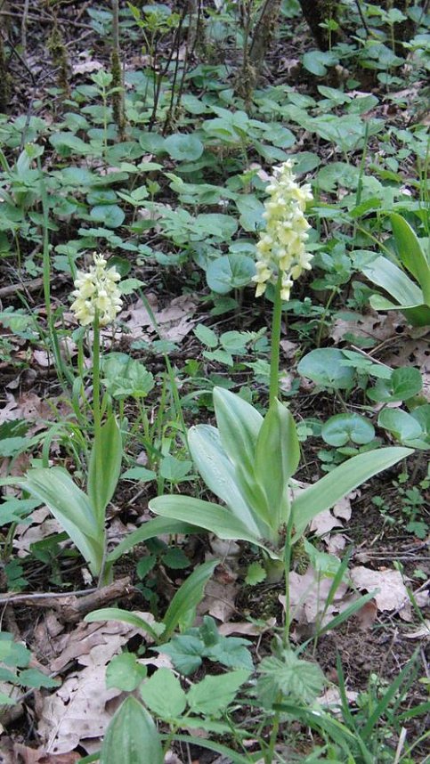 Folgen des Klimawandels