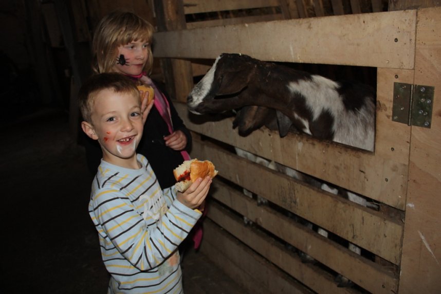 In Heringen waren die Hexen los
