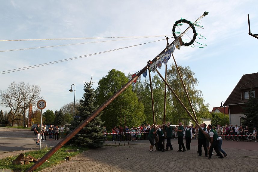 Maibaum in Bielen gesetzt