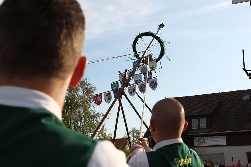 Maibaum in Bielen gesetzt
