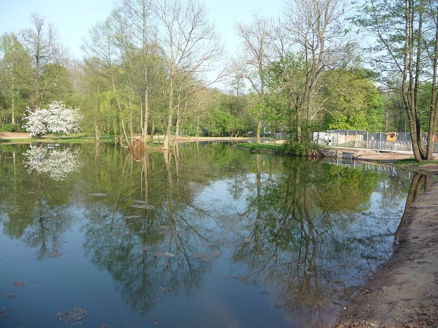 Spiegelbilder im Stadtpark