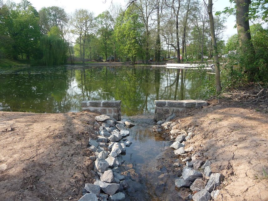 Spiegelbilder im Stadtpark