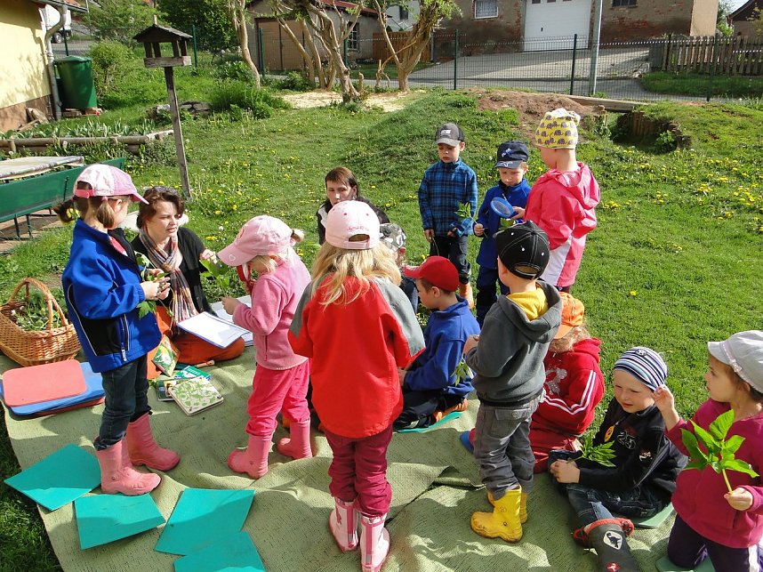 Projekttag in Herreden