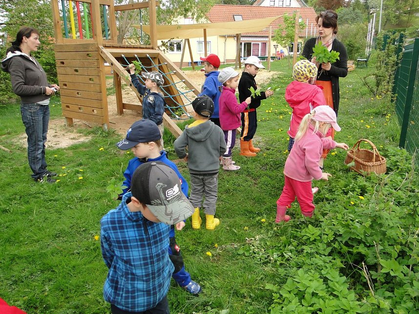 Projekttag in Herreden