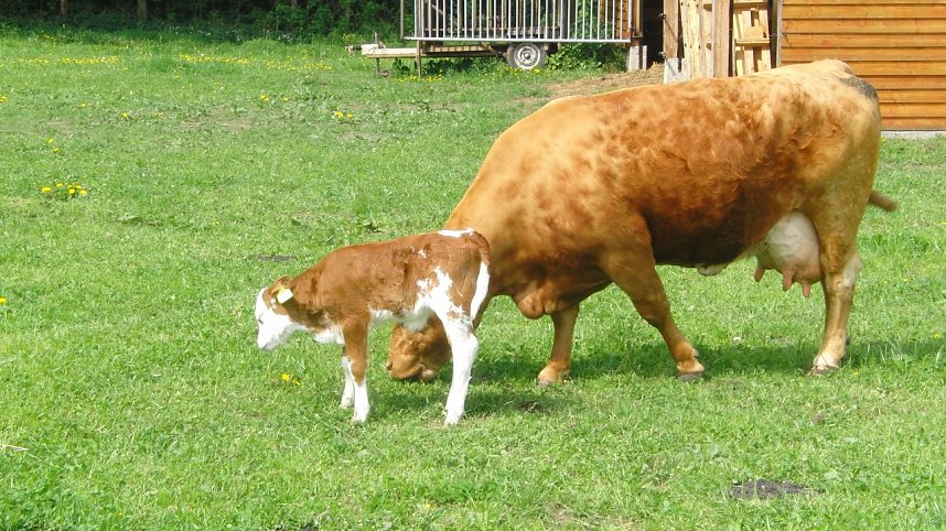 Sieben Seen - 104 Kilometer gewandert