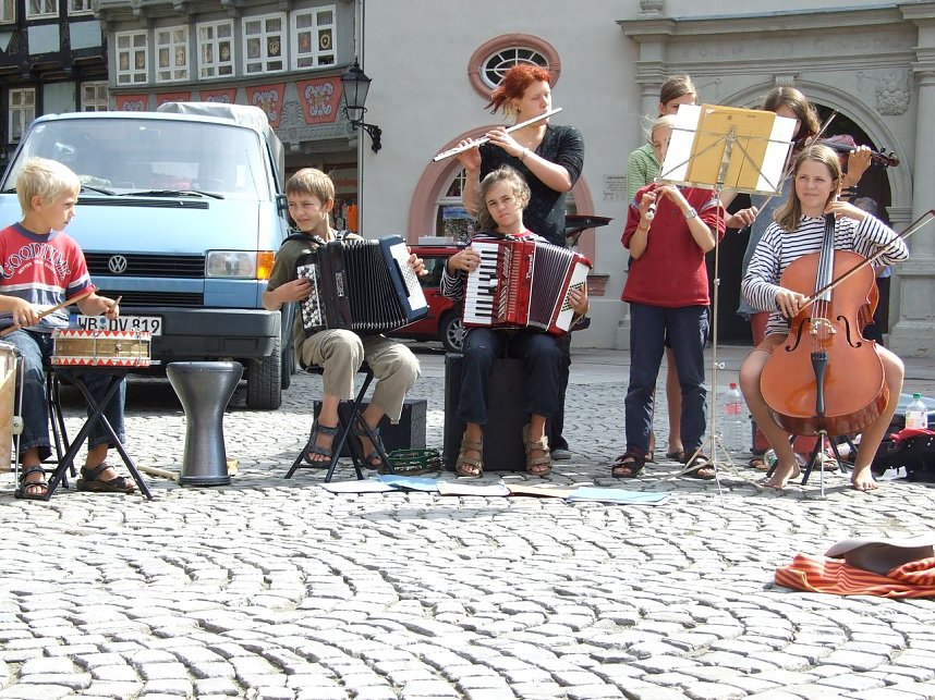 Sind in Nordhausen mit dabei: Klatschmohn