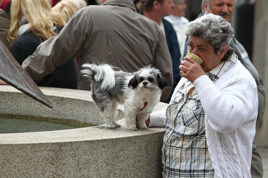 Geburtstagfeier begann